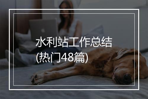 水利站工作总结(热门48篇)