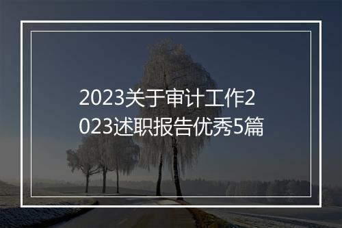 2023关于审计工作2023述职报告优秀5篇