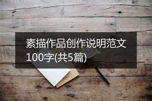 素描作品创作说明范文100字(共5篇)