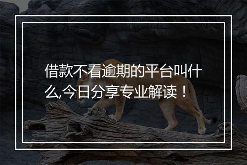 借款不看逾期的平台叫什么,今日分享专业解读！