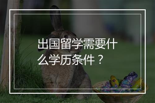 出国留学需要什么学历条件？