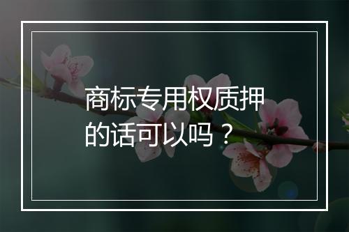 商标专用权质押的话可以吗？