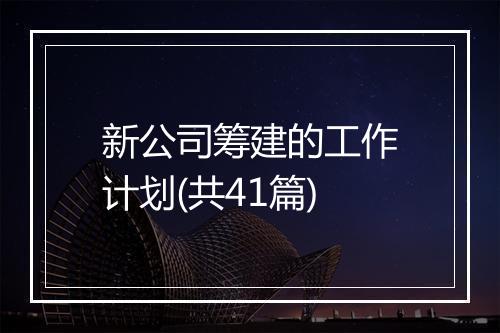 新公司筹建的工作计划(共41篇)