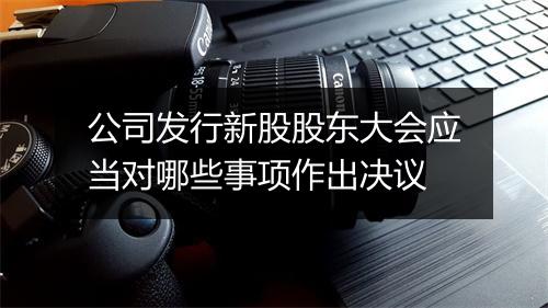 公司发行新股股东大会应当对哪些事项作出决议