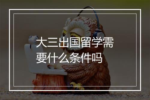 大三出国留学需要什么条件吗