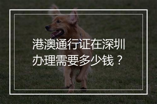 港澳通行证在深圳办理需要多少钱？