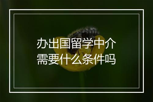 办出国留学中介需要什么条件吗