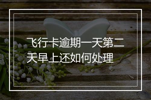 飞行卡逾期一天第二天早上还如何处理