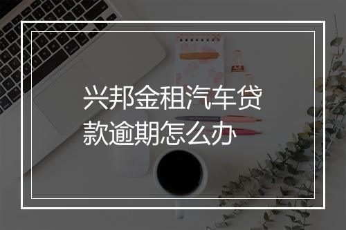 兴邦金租汽车贷款逾期怎么办