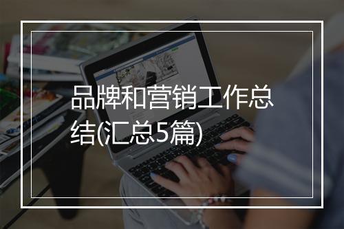 品牌和营销工作总结(汇总5篇)