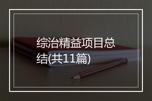 综治精益项目总结(共11篇)