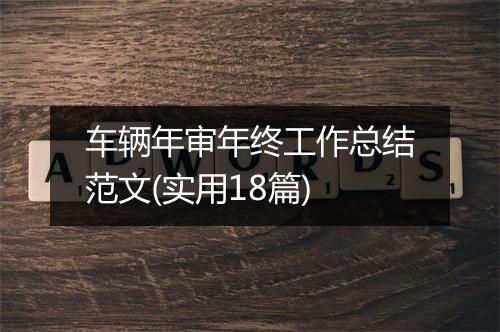 车辆年审年终工作总结范文(实用18篇)