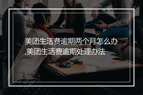 美团生活费逾期两个月怎么办,美团生活费逾期处理办法