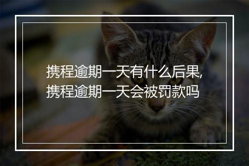 携程逾期一天有什么后果,携程逾期一天会被罚款吗