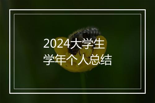 2024大学生学年个人总结