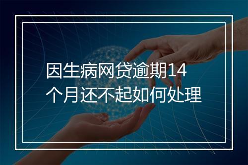 因生病网贷逾期14个月还不起如何处理