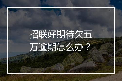 招联好期待欠五万逾期怎么办？