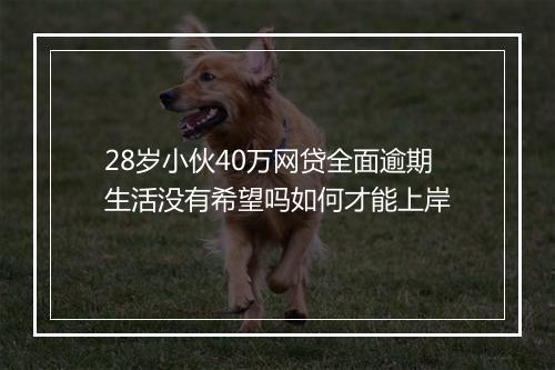 28岁小伙40万网贷全面逾期生活没有希望吗如何才能上岸