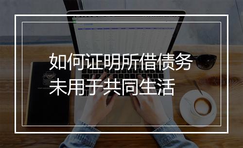 如何证明所借债务未用于共同生活