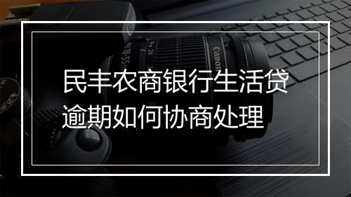 民丰农商银行生活贷逾期如何协商处理