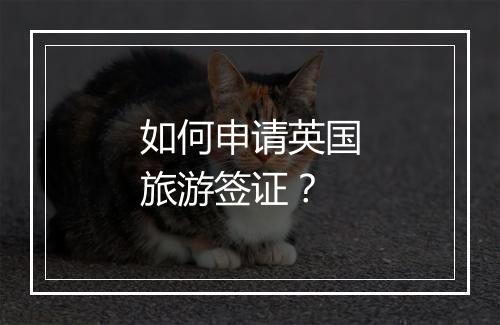 如何申请英国旅游签证？