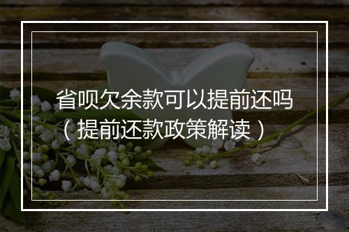 省呗欠余款可以提前还吗（提前还款政策解读）