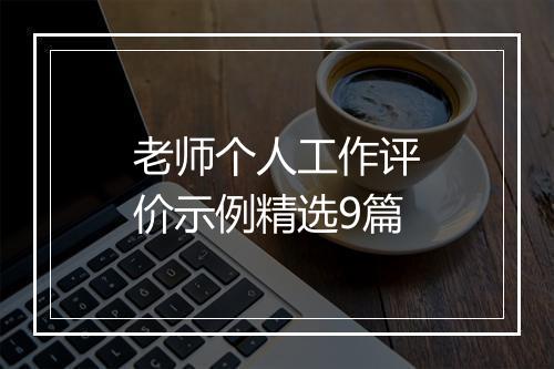 老师个人工作评价示例精选9篇