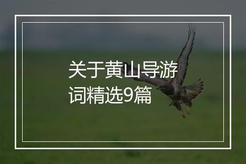 关于黄山导游词精选9篇