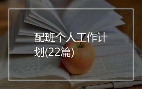 配班个人工作计划(22篇)
