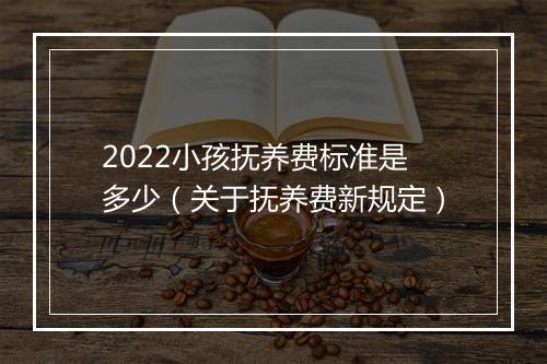 2022小孩抚养费标准是多少（关于抚养费新规定）