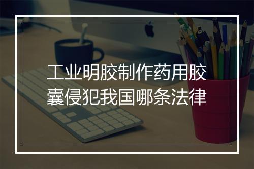 工业明胶制作药用胶囊侵犯我国哪条法律