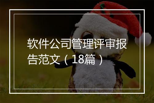 软件公司管理评审报告范文（18篇）