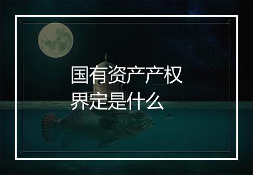 国有资产产权界定是什么