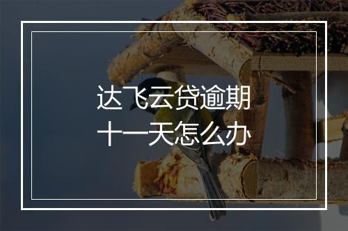 达飞云贷逾期十一天怎么办