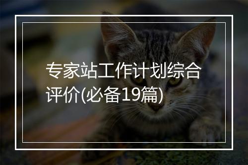 专家站工作计划综合评价(必备19篇)
