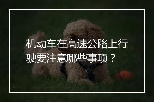 机动车在高速公路上行驶要注意哪些事项？
