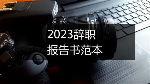 2023辞职报告书范本