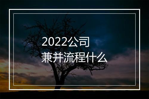 2022公司兼并流程什么