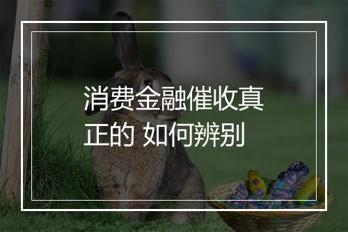 消费金融催收真正的 如何辨别