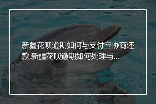 新疆花呗逾期如何与支付宝协商还款,新疆花呗逾期如何处理与借呗协商还款