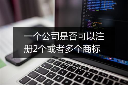一个公司是否可以注册2个或者多个商标