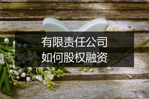 有限责任公司如何股权融资