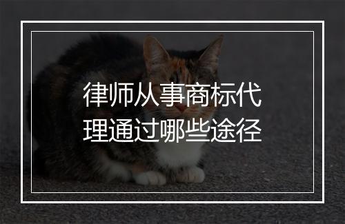 律师从事商标代理通过哪些途径