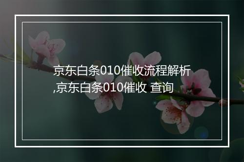 京东白条010催收流程解析,京东白条010催收 查询