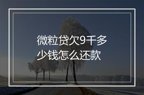 微粒贷欠9千多少钱怎么还款