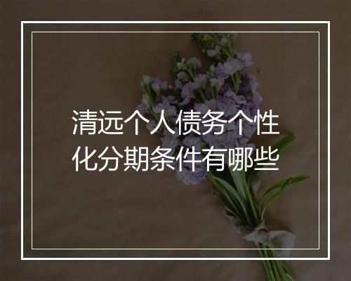 清远个人债务个性化分期条件有哪些