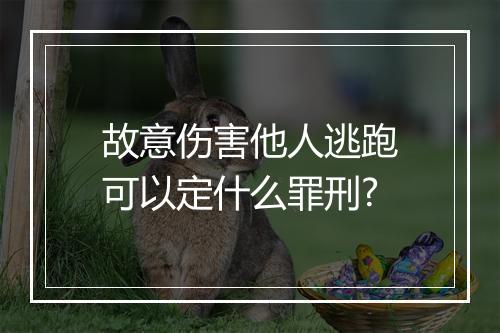 故意伤害他人逃跑可以定什么罪刑?
