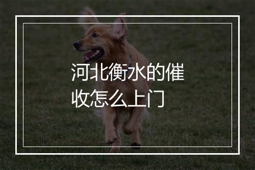 河北衡水的催收怎么上门