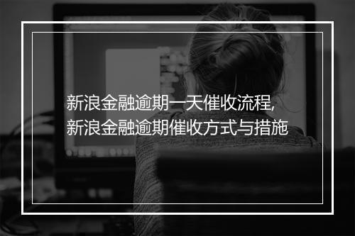 新浪金融逾期一天催收流程,新浪金融逾期催收方式与措施