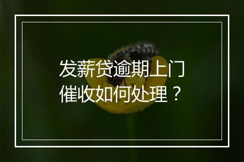 发薪贷逾期上门催收如何处理？
